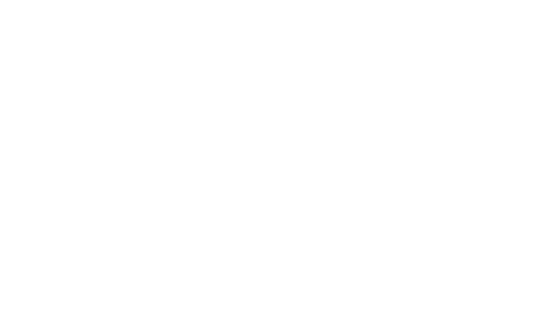 average review rating of 4.5 stars across all pLink Leadership programs