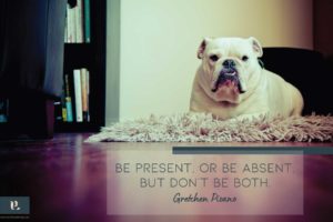 Read more about the article The Present In Presence