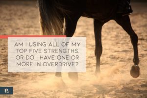 Read more about the article Developing Talents, Skills and Strengths (With a Little Help from a Horse)