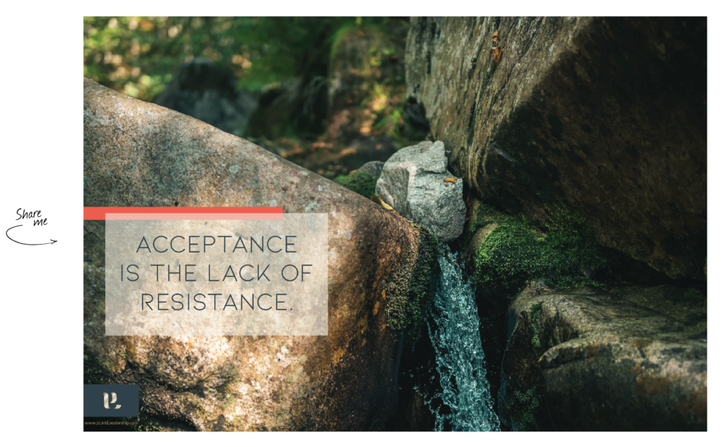 pLink Shareable - "Acceptance is the lack of resistance"