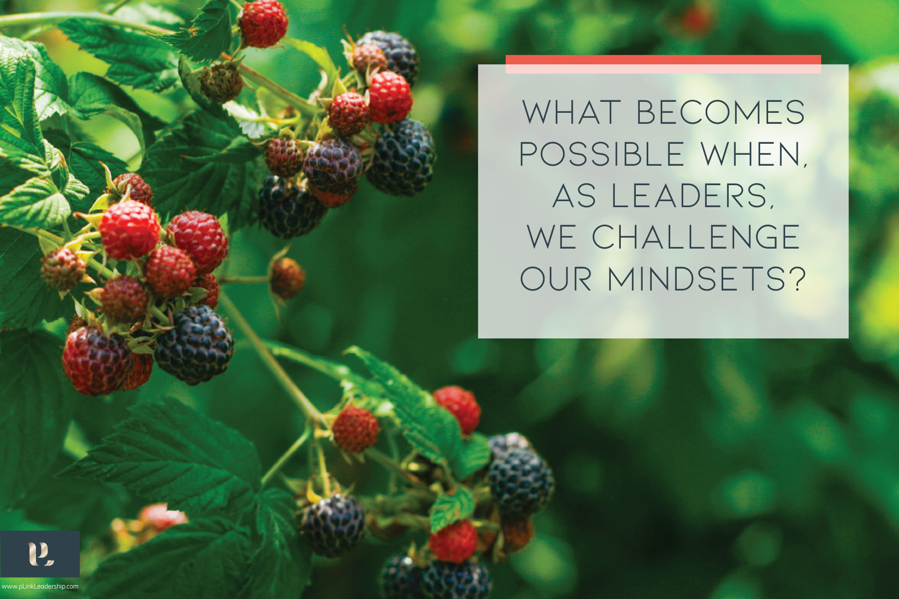 What becomes possible when, as leaders, we challenge our mindsets?