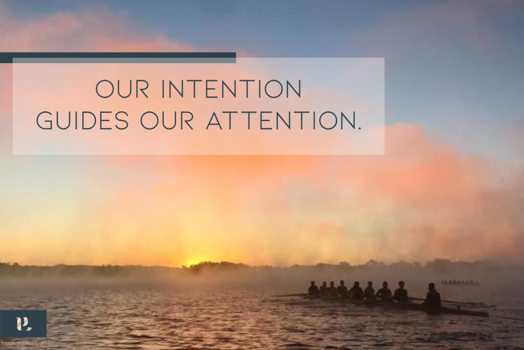 Our intention guides out attention.