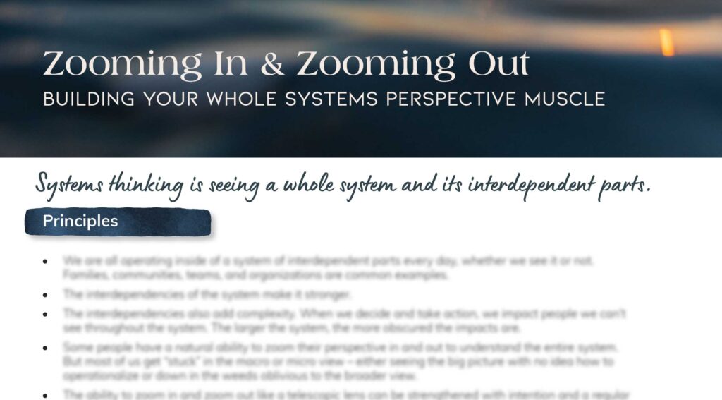 Zooming in and Zooming Out - Building Your Whole Systems Perspective Muscle