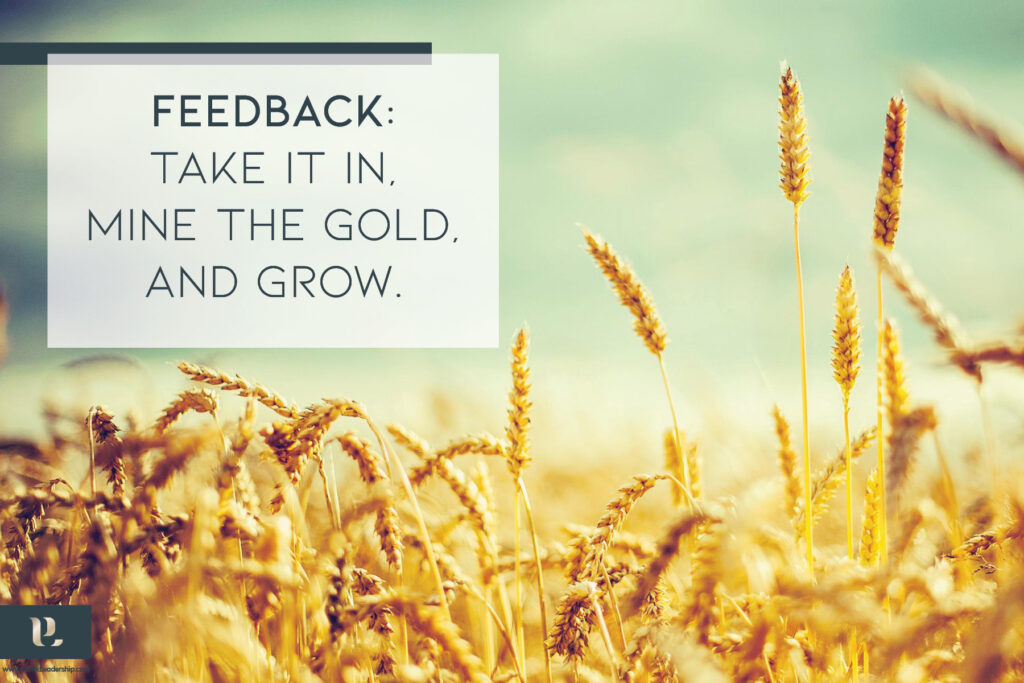 Feedback: take it in, mine the gold, and grow.