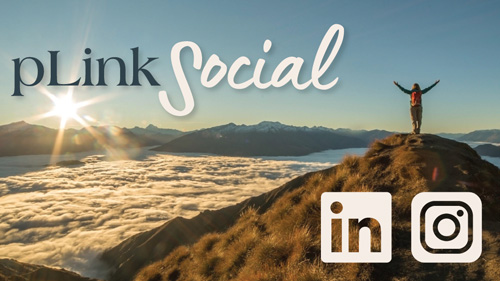 pLink Social media icons - LinkedIn and Instagram